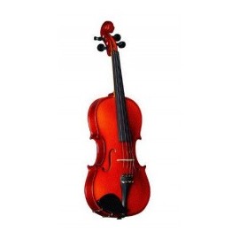 Violin Strunal Stradivarius 4/4 con Arco y...