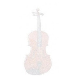 Viola Estudiante Solid Spruce Amadeus...